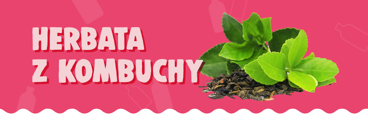Herbata z kombuchy